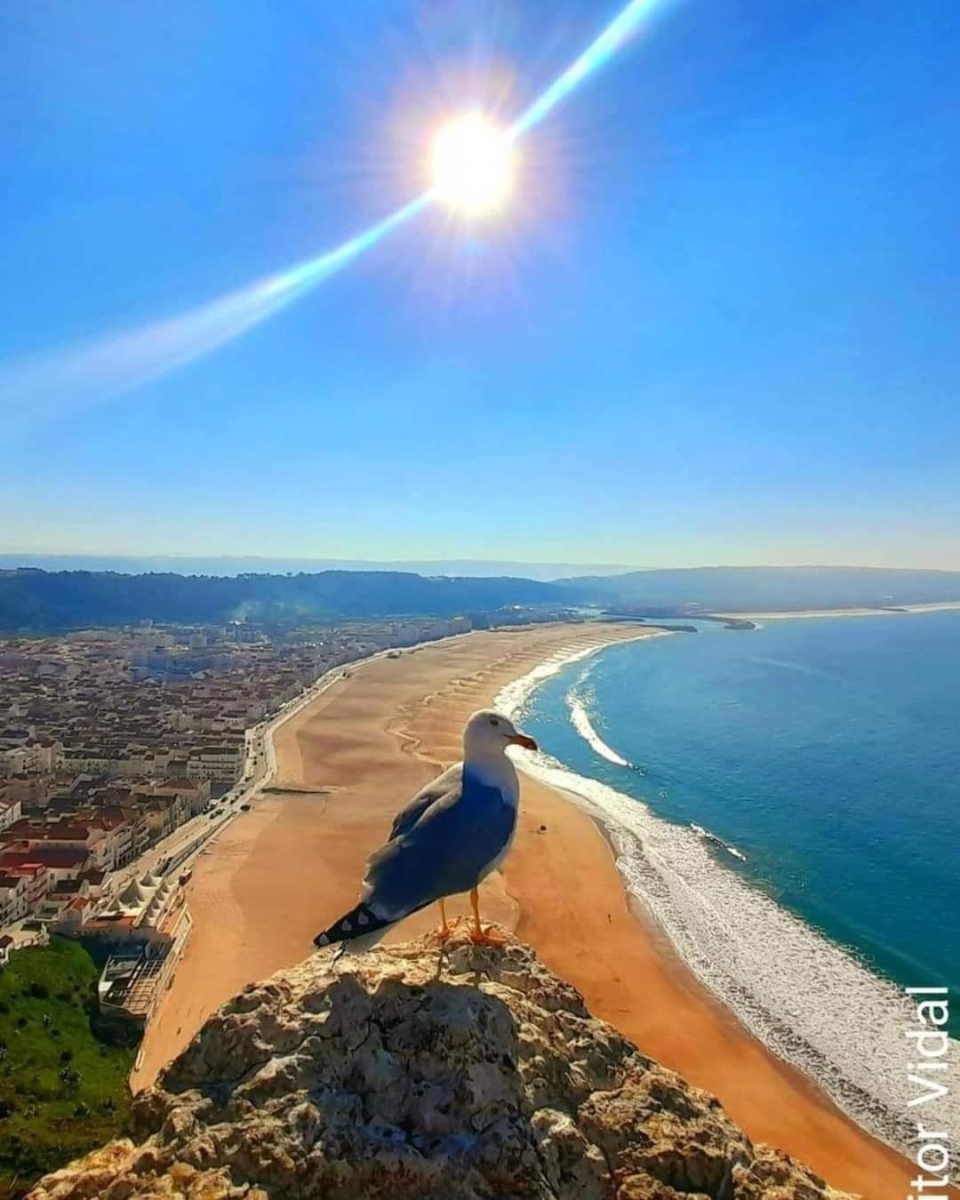 Maresia Villa Mar Nazaré Kültér fotó
